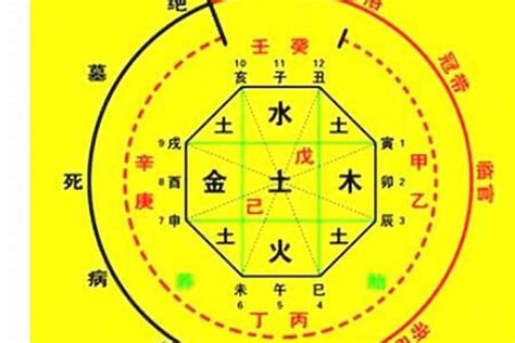 捉用神|八字捉用神是什么意思 批算八字中的一个环节——天玄网